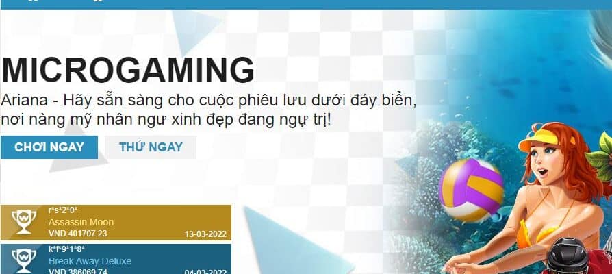 Microgaming là gì?