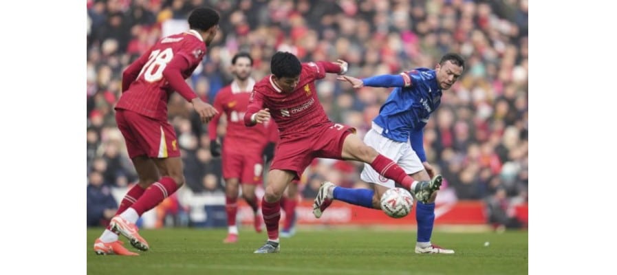 Soi kèo trận Plymouth vs Liverpool lúc 22h00 ngày 09/02/2025