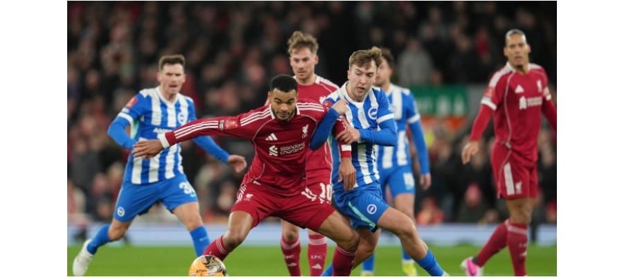 Soi kèo Brighton vs Liverpool lúc 19h30 ngày 21/03/2026